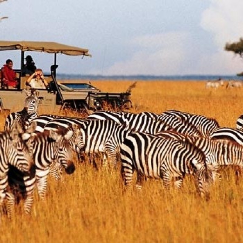 Day 03 - Lake Elementaita + Lake Nakuru Bird and Rhino Sanctuary National Park